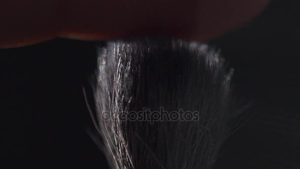 Cosmetic brush with cosmetic powder spreading on black background - Filmati, video