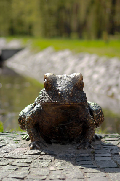 Bronze-Frosch, Park-Landschaft-Dekoration,  - Foto, Bild