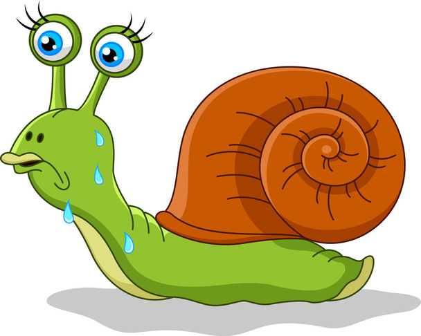 cartoon snail illustration, vector on white background - Vector, Image