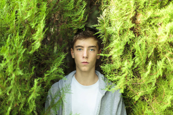 portrait d'un jeune homme sérieux debout entre deux arbres
 - Photo, image