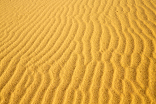 afrikanische braune sanddüne in sahara marokko wüste linie - Foto, Bild
