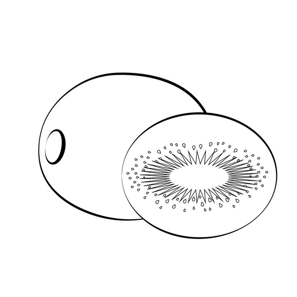 Icono plano kiwi y rebanada de kiwi. Blanco con trazo negro. Silueta Kiwi. Vector
 - Vector, Imagen