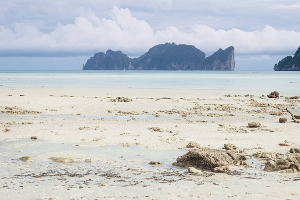 ピピ島のビーチのドン、タイから島ピピ ピピ ・ レー ・ ビーチ ビュー - 写真・画像