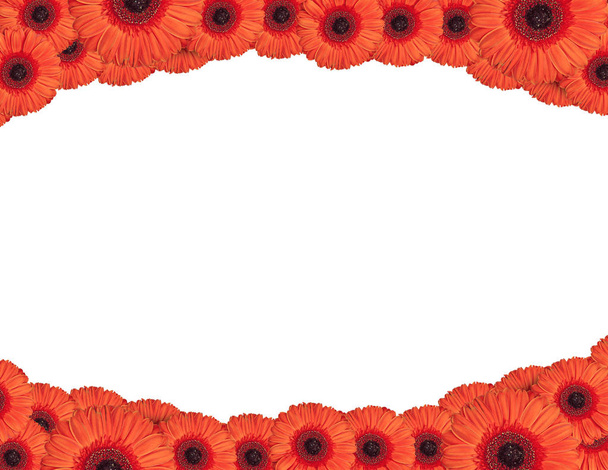 Red gerbera flowers create a frame on white background - Fotó, kép