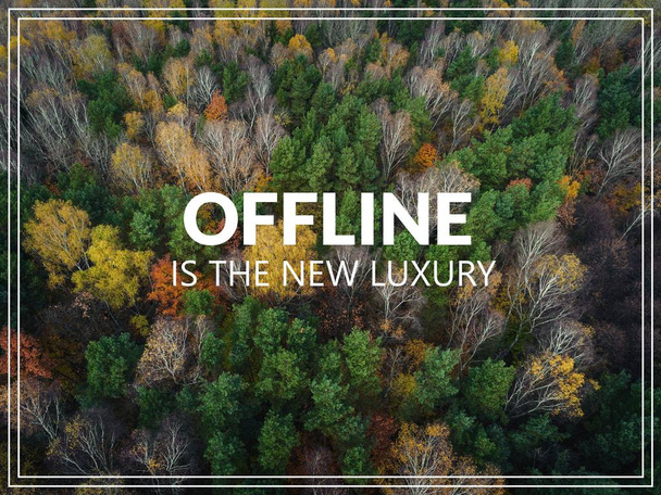 Offline is the new luxury. Aerial view of the forrest with diffe - Photo, Image