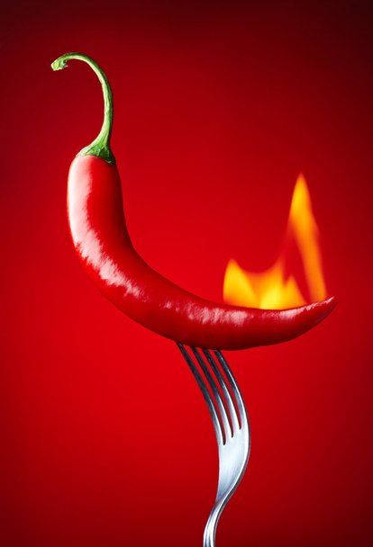 Polttava punainen chili pippuri punaisella pohjalla
 - Valokuva, kuva