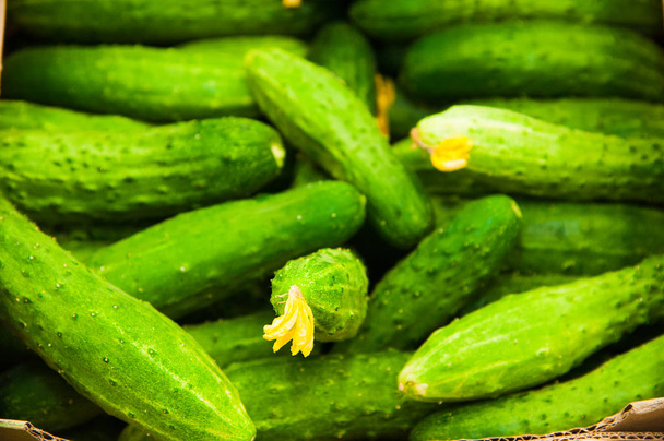 Bunch of cucumbers on boxes in supermarket - Фото, изображение