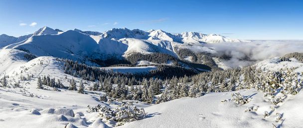 Winter in the mountains - panorama of Western Tatras. - Photo, Image