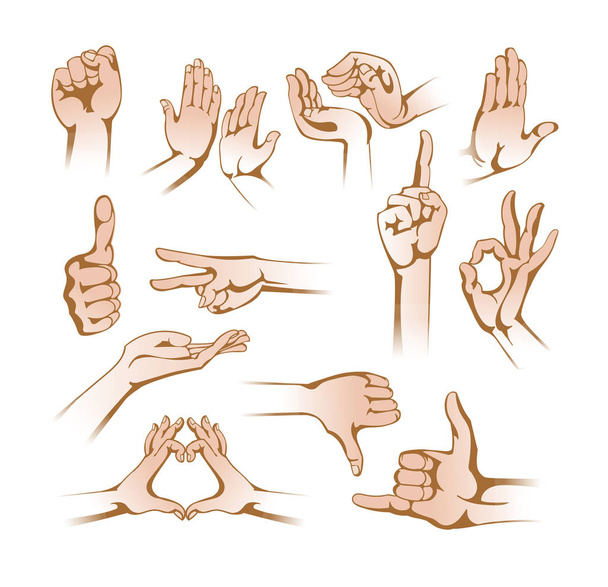 Set of hands in different gestures, signs on white background. - Vector, Image