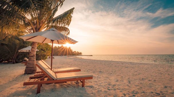 Prachtig strand achtergrond voor de zomer vakantie met zon, kokosnoot boom en strand houten bed op zand met prachtige blauwe zee en blauwe lucht. Zomer stemming zon strand achtergrond concept. - Foto, afbeelding