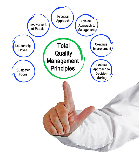 Total Quality Management Principles - Photo, Image