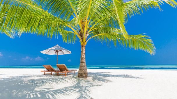 Όμορφη παραλία. Καρέκλες πάνω στην αμμώδη παραλία κοντά στη θάλασσα. Καλοκαιρινές διακοπές και διακοπές έννοια. Εμπνευσμένη τροπική παραλία. Ήρεμο τοπίο, χαλαρωτική παραλία, τροπικό σχέδιο τοπίων. Κυκλοθυμική τοπίο - Φωτογραφία, εικόνα