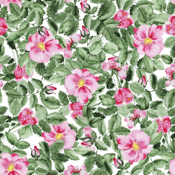 Briar blossom flower pattern - Foto, Bild