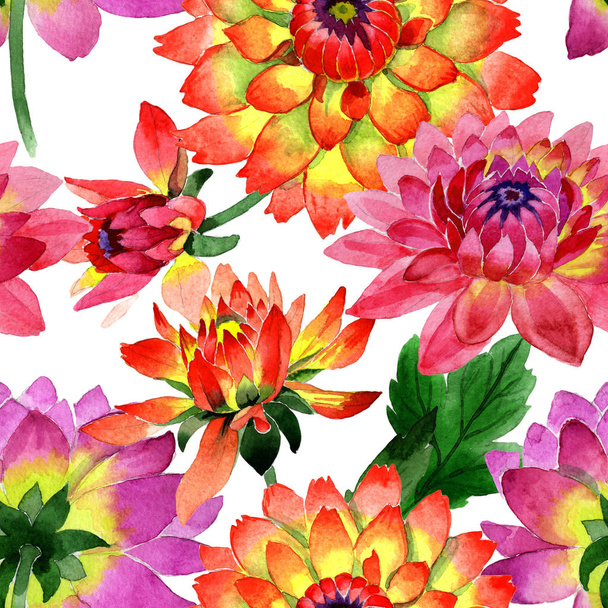 分離された水彩画のワイルドフラワー ダリアの花のパターン. - 写真・画像