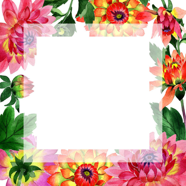 Wildflower dahlia flower frame in a watercolor style isolated. - Photo, image