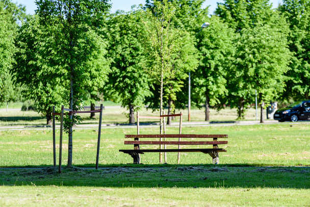 zelený park s chodníky - Fotografie, Obrázek