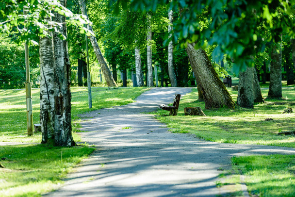 зеленый парк с дорожками
 - Фото, изображение
