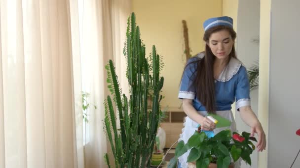 Jonge huishoudster water spuiten plant. - Video
