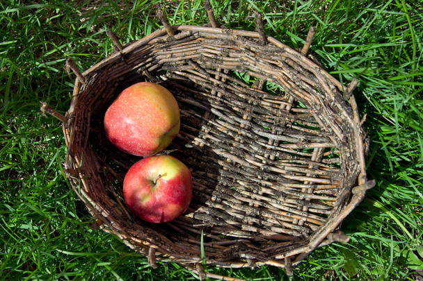 Red apples in an old basket. Green grass around.  - Foto, afbeelding