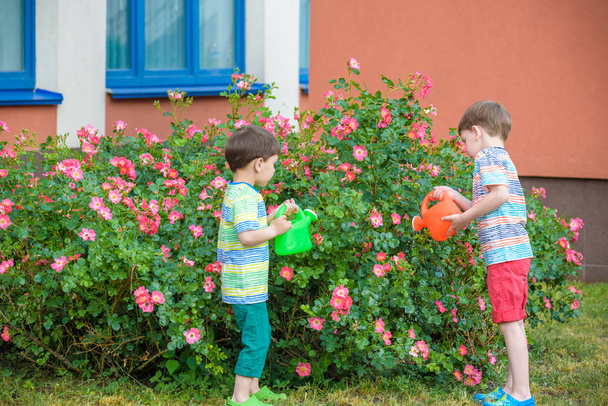 Deux petits garçons arrosant des roses avec une canette dans le jardin. Famille, jardin, jardinage, style de vie
 - Photo, image