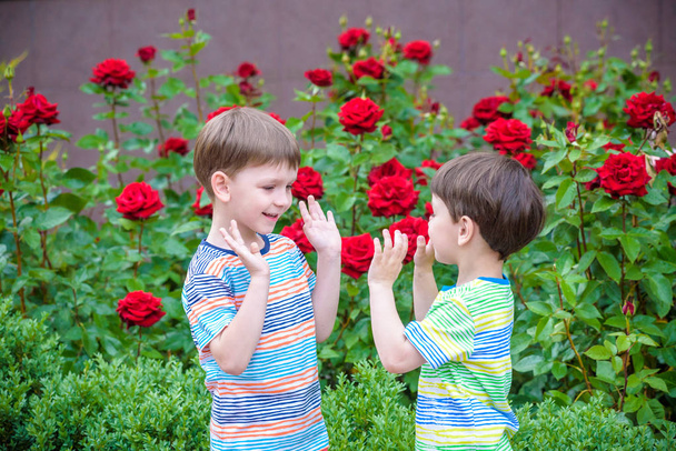 Dois adoráveis irmãos crianças meninos brincando ao ar livre juntos
 - Foto, Imagem