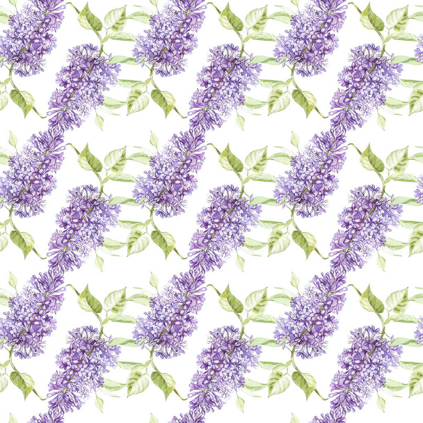 Illustration in watercolor of a Lilac flower. Floral card with flowers. Botanical illustration seamless pattern. - Foto, Bild