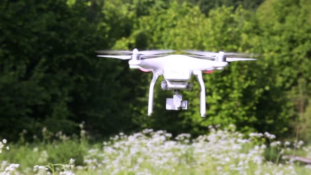  Drone filmowanie zielonego drewna w okresie letnim z kolei. Nowoczesne technologie - Materiał filmowy, wideo