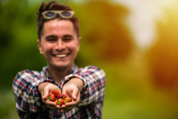 Čerstvě vybral skutečný život jahody - Fotografie, Obrázek