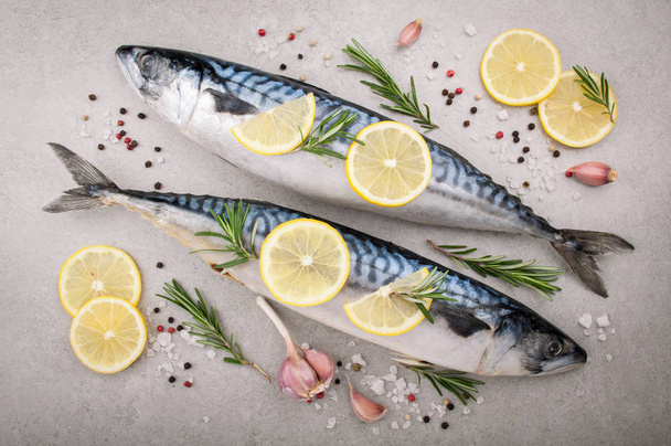 Fresh raw fish. Mackerel with salt, lemon and spices on grey background. Cooking fish with herbs - Foto, afbeelding