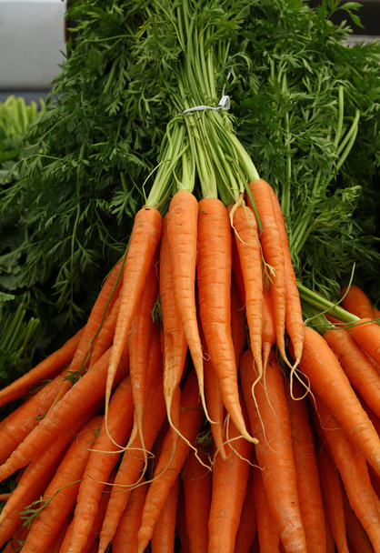Bunches of fresh spring carrots with green top - Photo, image