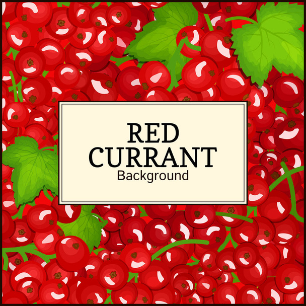 Square label on ripe red currant background. Vector card illustration. Red berry branch fresh and juicy currant for packaging design food, juice, jam, ice cream, smoothies, detox, cosmetics cream, tea - Vector, Image