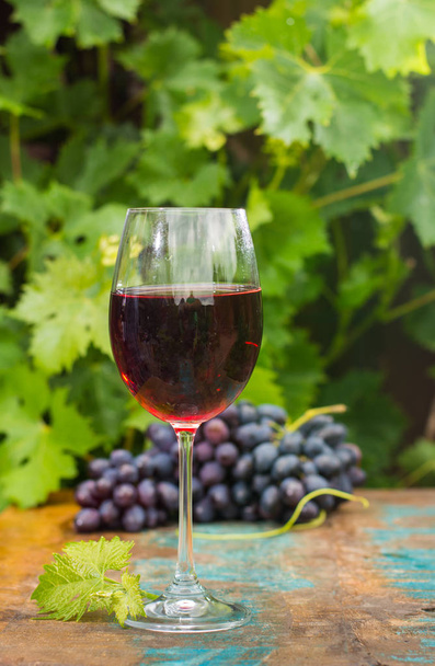 Verre à vin wirh vin rouge, terrasse extérieure, dégustation de vin sous le soleil
 - Photo, image