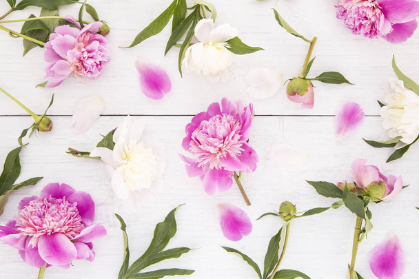 White and pink peonies - Fotoğraf, Görsel