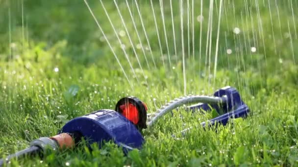 Rozstřikovač trávníku rozstřikuje vodu po zelené trávě. - Záběry, video
