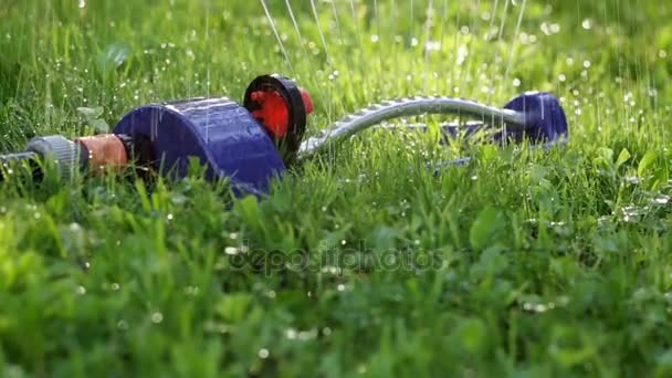 芝生のスプリンクラーは緑の草の上に水を噴霧. - 映像、動画