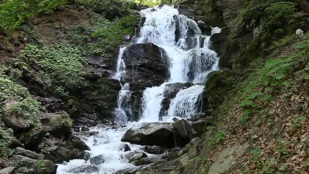 Schneller Gebirgsbach mit Wasserfall - Filmmaterial, Video