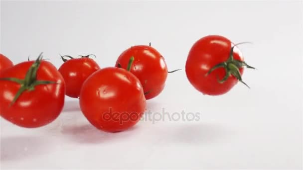 Fresh red tomatoes falling and bouncing on white background. - Metraje, vídeo