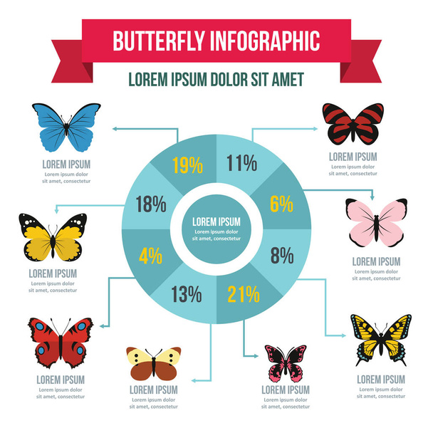 Butterfly infographic concept, flat style - Vector, Image