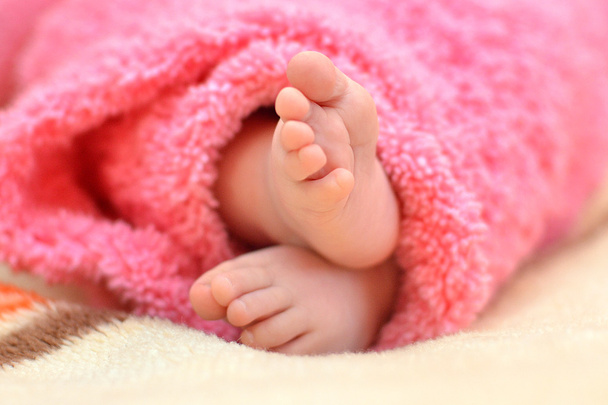 Feet newborn baby wrapped in a bright pink blanket closeup - Foto, Imagen