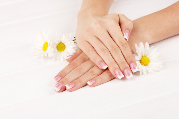 Woman hands with french manicure and flowers on white wooden background - Photo, image