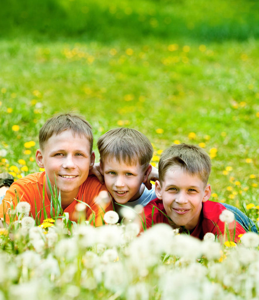 Three smiling boys lie on a glade of dandelions - Фото, изображение