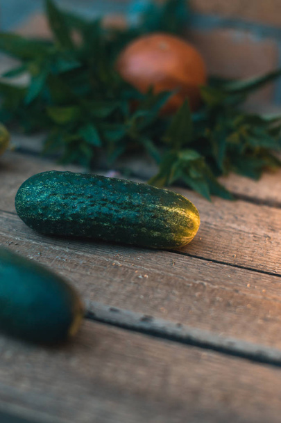 Fresh cucumber from the garden on a wooden background. - Fotografie, Obrázek