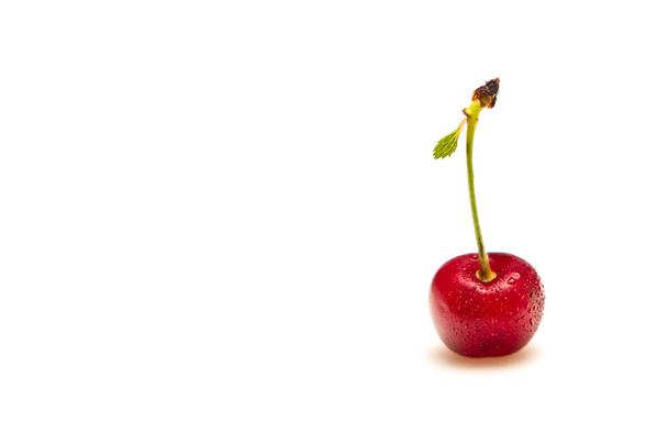 Jeden cherry s vodou kapky v pravé části fotografie - Fotografie, Obrázek