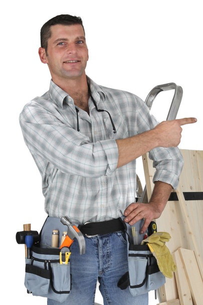 Carpenter pointing - Photo, Image