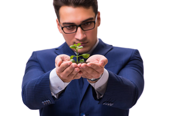 Επιχειρηματίας που κατέχει πράσινα βλαστάρια απομονώνονται σε λευκό - Φωτογραφία, εικόνα