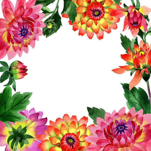 Vadvirág dahlia virág keret elszigetelt akvarell stílusú. - Fotó, kép