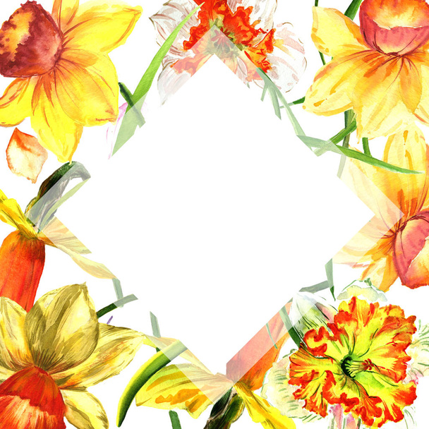 Wildflower Narcissus flower frame in a watercolor style isolated. - Zdjęcie, obraz