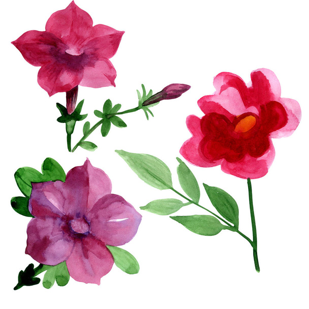 Vadvirág Bluebell virág elszigetelt akvarell stílusú. - Fotó, kép