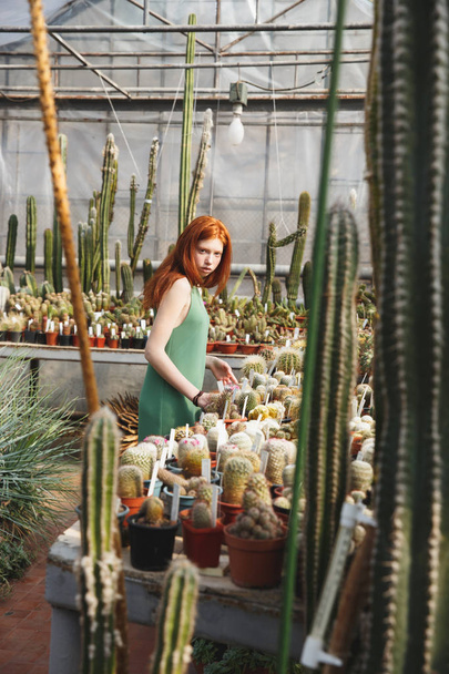 Girl standing in a glass house full of cacti - Фото, изображение