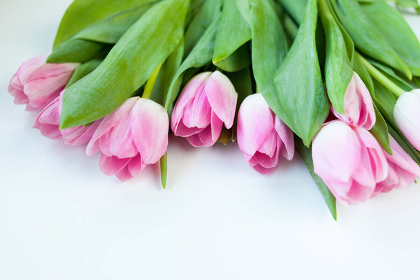 Pink tulips on white background - Foto, Imagen